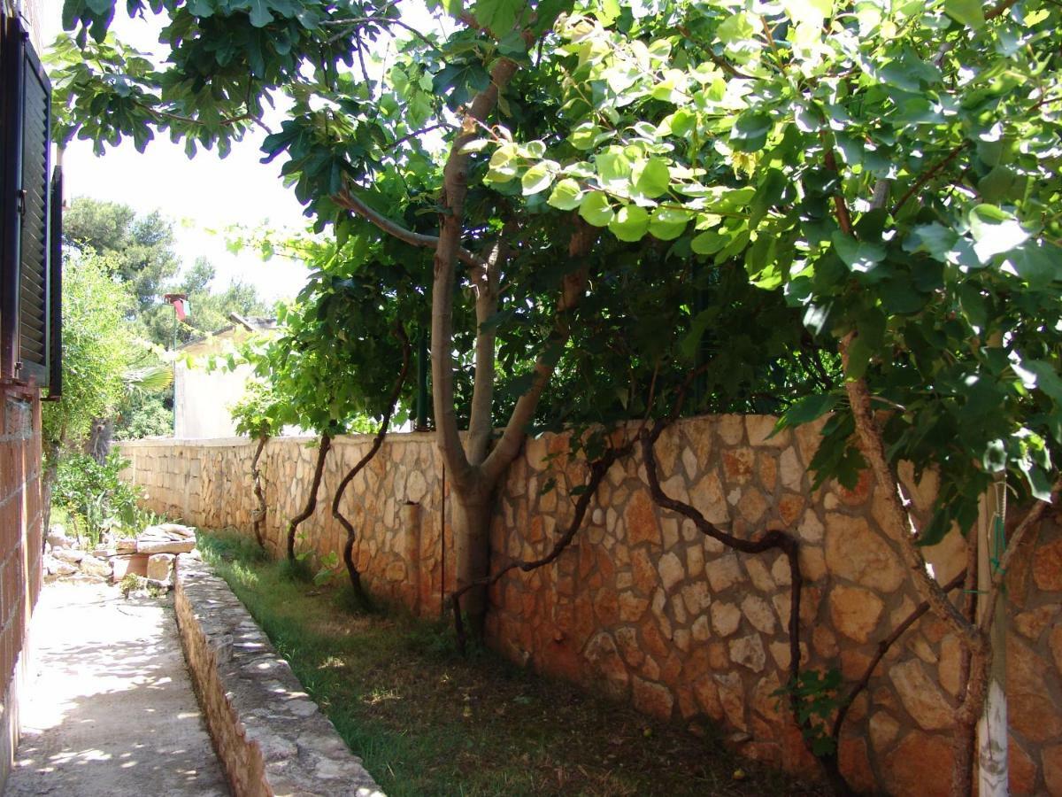 Manuela Villa Liznjan Exterior photo